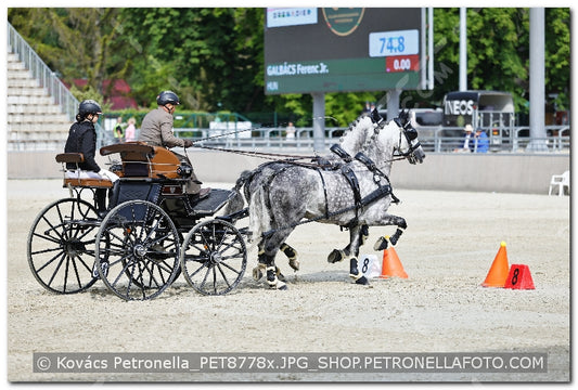 A kép az eredeti csökkentett reprezentációja