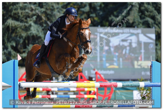A kép az eredeti csökkentett reprezentációja