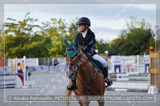 A kép az eredeti csökkentett reprezentációja