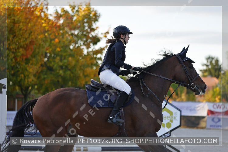 A kép az eredeti csökkentett reprezentációja