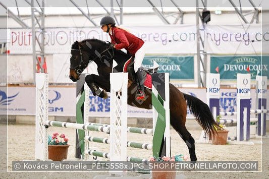 A kép az eredeti csökkentett reprezentációja