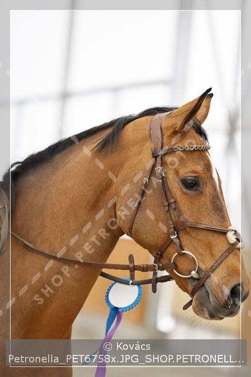 A kép az eredeti csökkentett reprezentációja