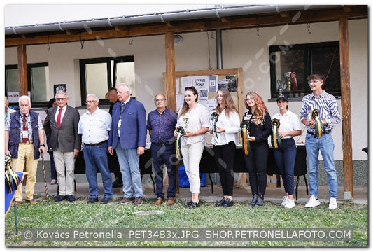 A kép az eredeti csökkentett reprezentációja