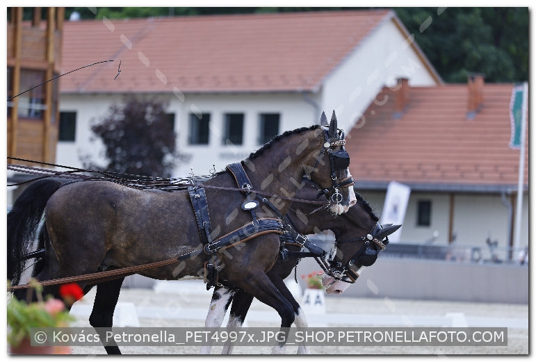 A kép az eredeti csökkentett reprezentációja