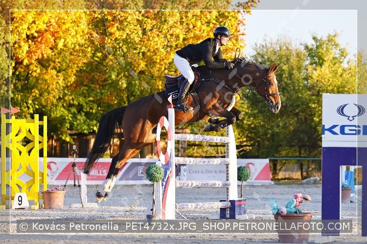 A kép az eredeti csökkentett reprezentációja