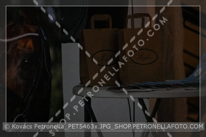 A kép az eredeti csökkentett reprezentációja