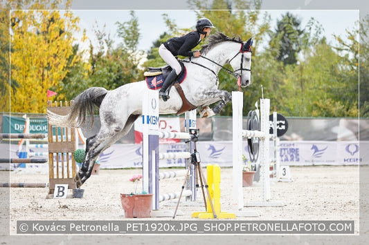 A kép az eredeti csökkentett reprezentációja