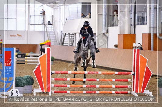 A kép az eredeti csökkentett reprezentációja