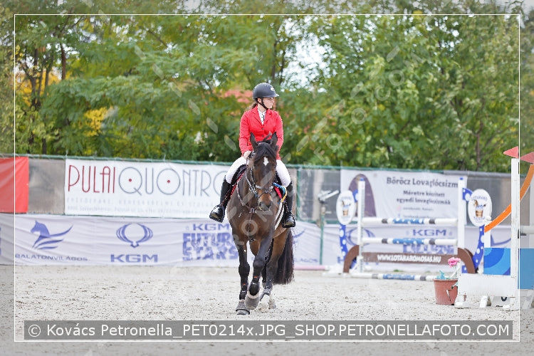 A kép az eredeti csökkentett reprezentációja