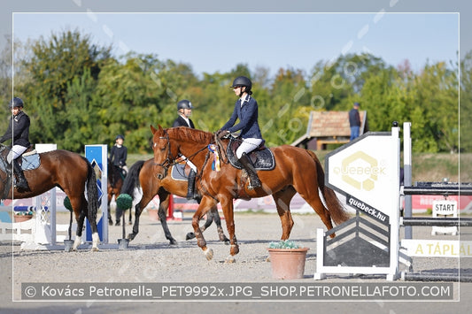 A kép az eredeti csökkentett reprezentációja
