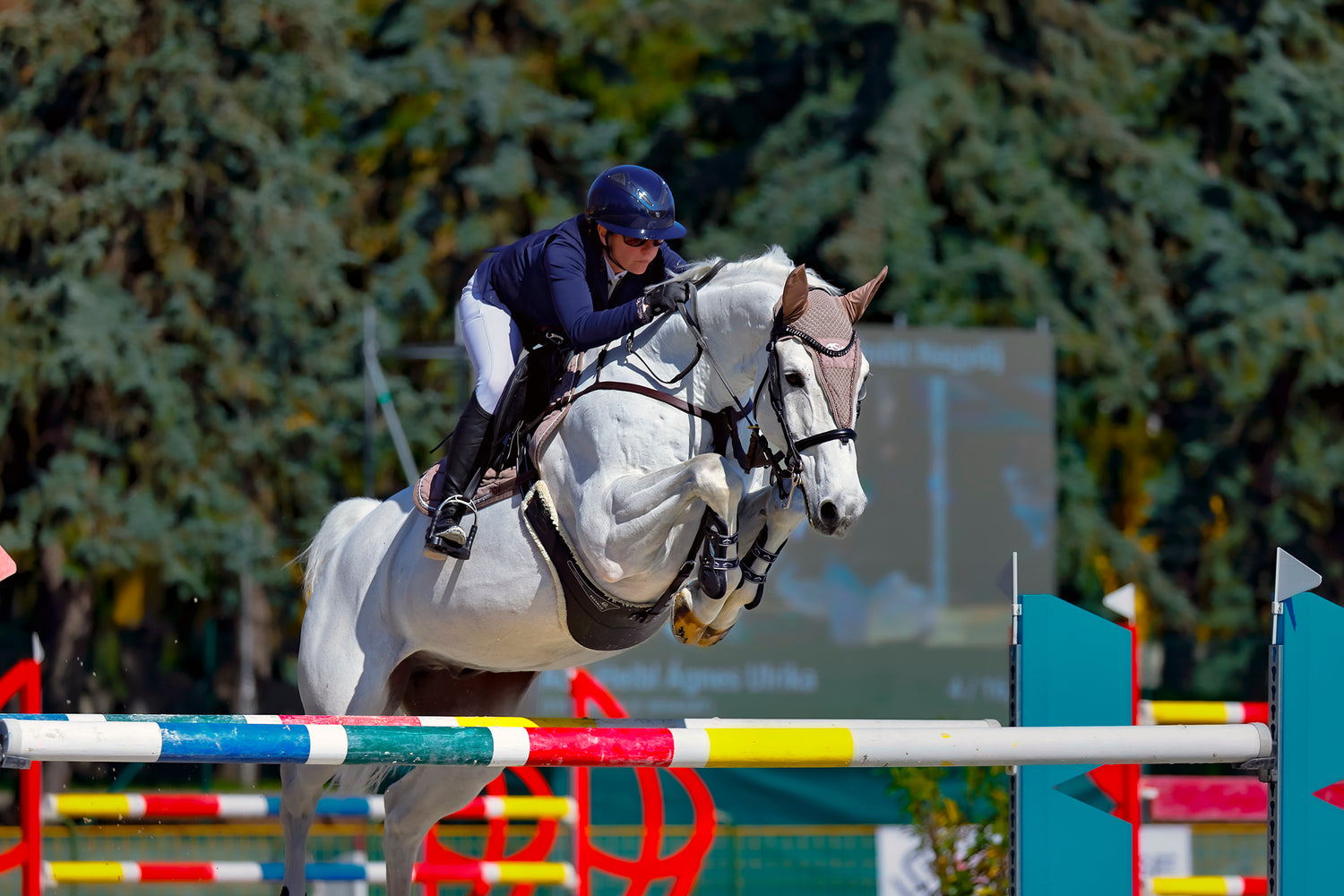 2026.04.9-11. Bábolna OM