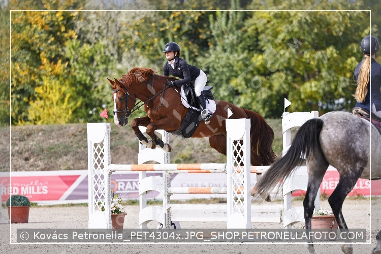 A kép az eredeti csökkentett reprezentációja