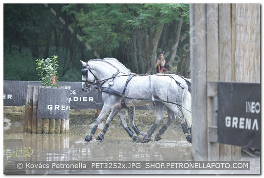 A kép az eredeti csökkentett reprezentációja