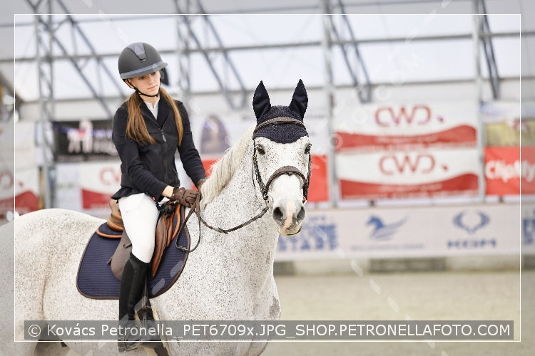 A kép az eredeti csökkentett reprezentációja