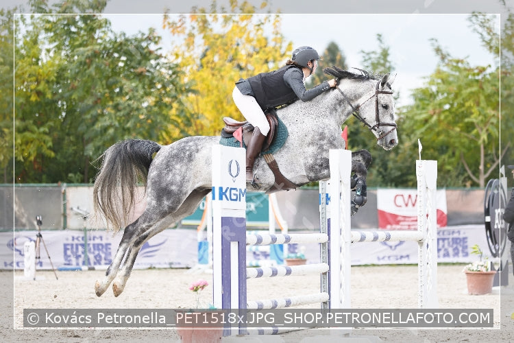 A kép az eredeti csökkentett reprezentációja