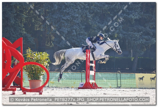 A kép az eredeti csökkentett reprezentációja