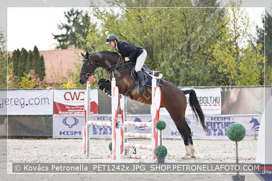 A kép az eredeti csökkentett reprezentációja
