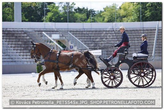 A kép az eredeti csökkentett reprezentációja