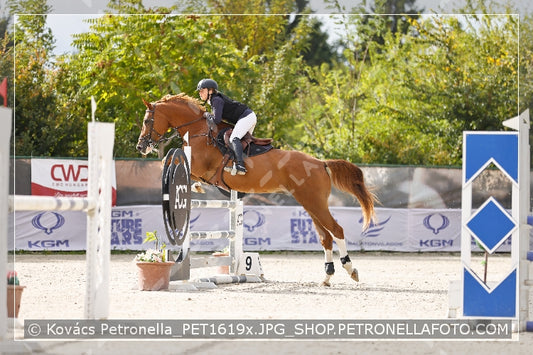 A kép az eredeti csökkentett reprezentációja
