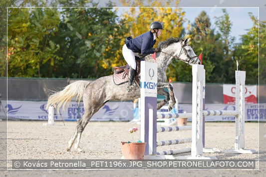 A kép az eredeti csökkentett reprezentációja