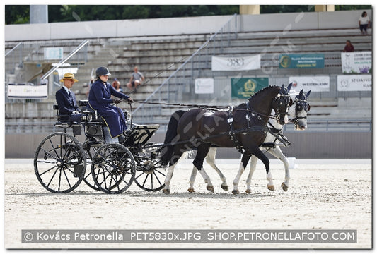 A kép az eredeti csökkentett reprezentációja