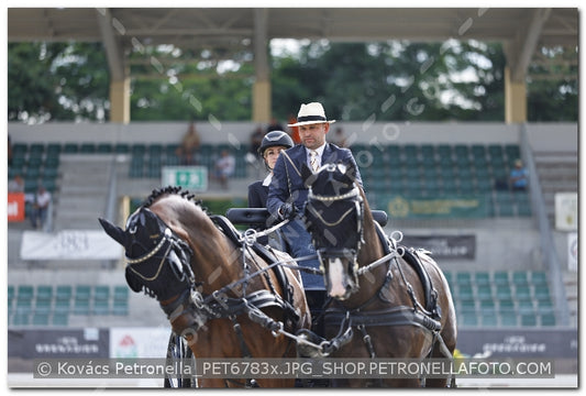 A kép az eredeti csökkentett reprezentációja