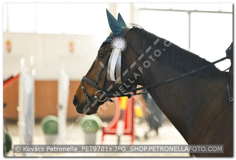 A kép az eredeti csökkentett reprezentációja