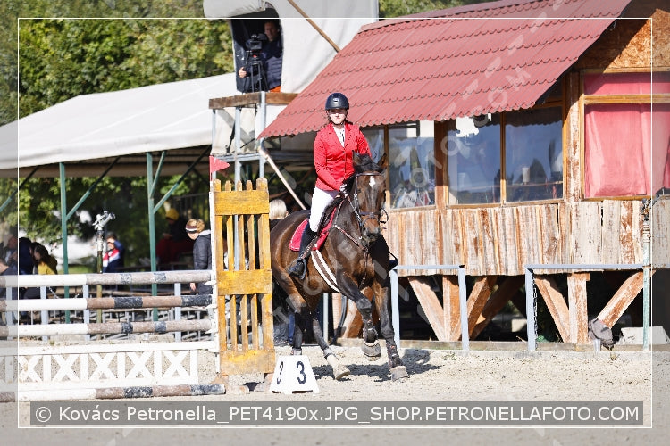 A kép az eredeti csökkentett reprezentációja