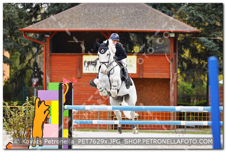 A kép az eredeti csökkentett reprezentációja