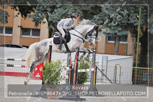 A kép az eredeti csökkentett reprezentációja
