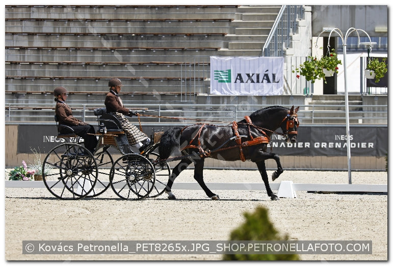 A kép az eredeti csökkentett reprezentációja