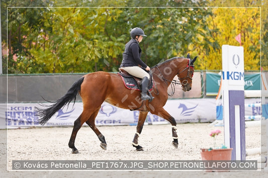 A kép az eredeti csökkentett reprezentációja