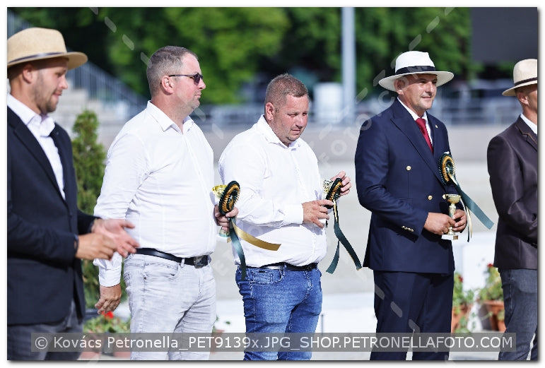 A kép az eredeti csökkentett reprezentációja