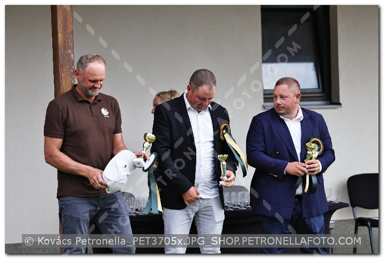 A kép az eredeti csökkentett reprezentációja