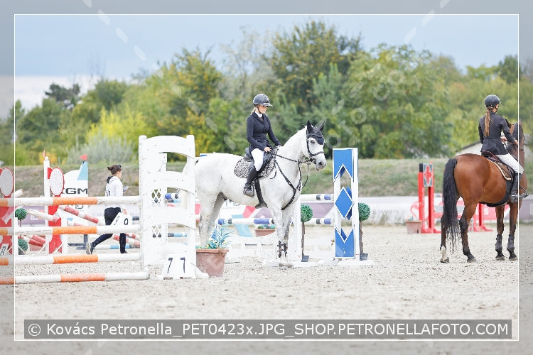 A kép az eredeti csökkentett reprezentációja