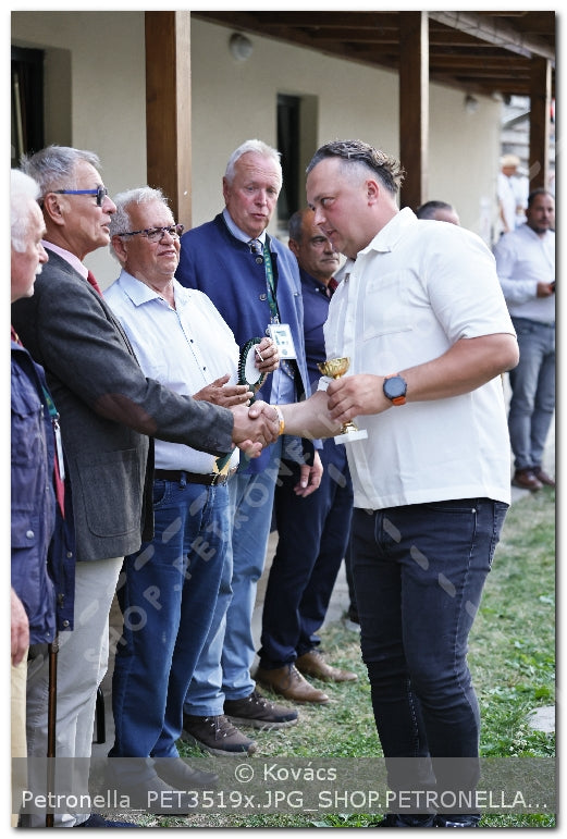 A kép az eredeti csökkentett reprezentációja