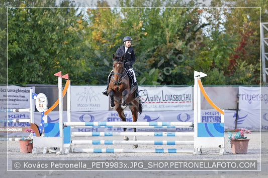 A kép az eredeti csökkentett reprezentációja