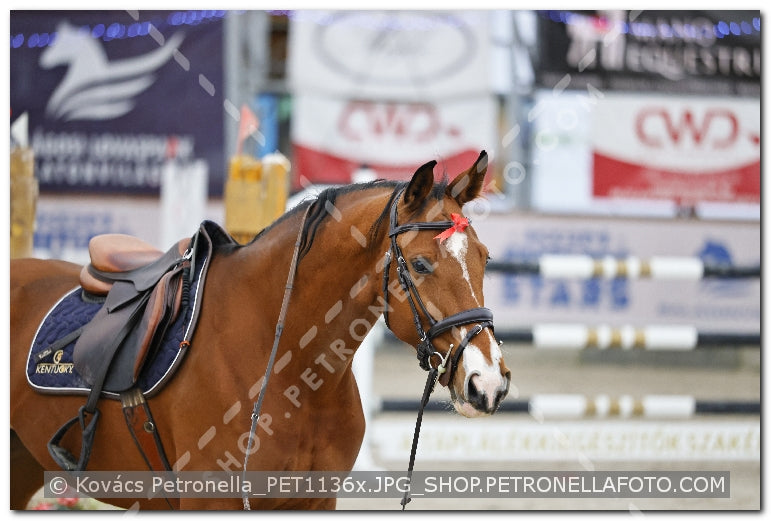 A kép az eredeti csökkentett reprezentációja