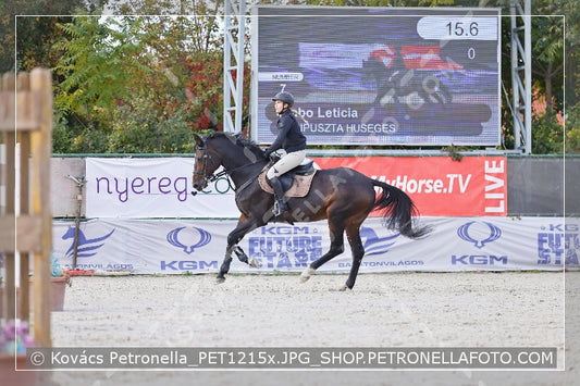 A kép az eredeti csökkentett reprezentációja