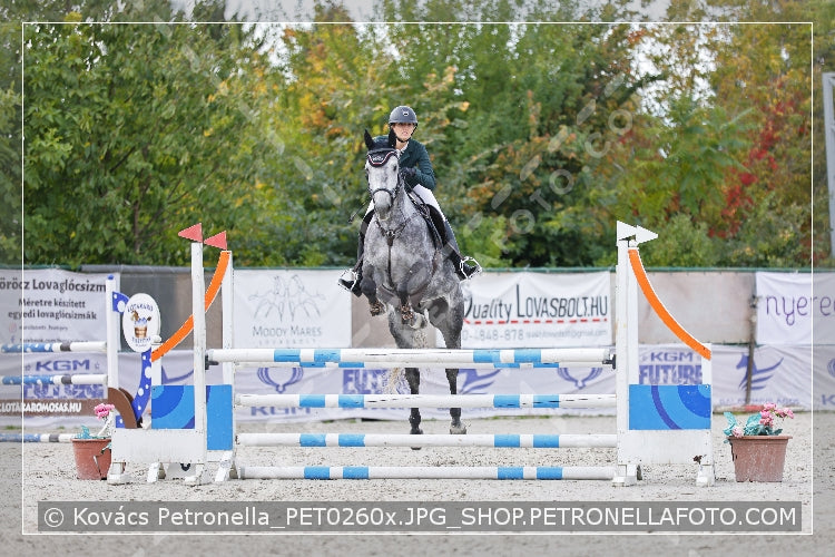 A kép az eredeti csökkentett reprezentációja