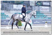 A kép az eredeti csökkentett reprezentációja