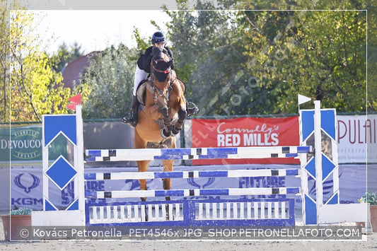 A kép az eredeti csökkentett reprezentációja