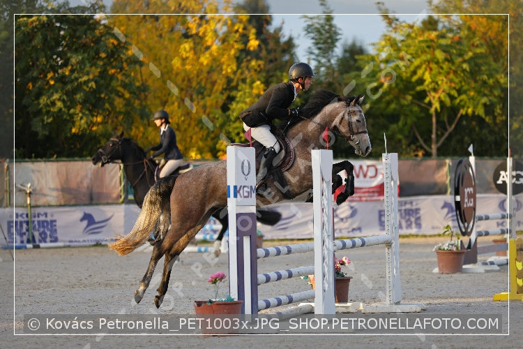 A kép az eredeti csökkentett reprezentációja
