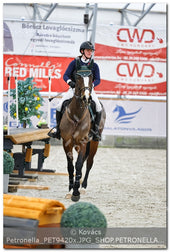 A kép az eredeti csökkentett reprezentációja