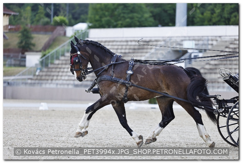A kép az eredeti csökkentett reprezentációja