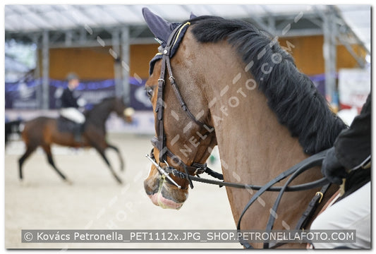 A kép az eredeti csökkentett reprezentációja