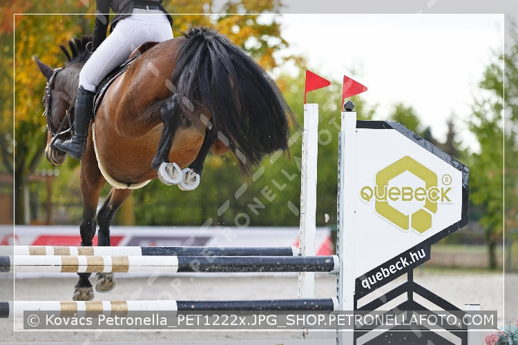 A kép az eredeti csökkentett reprezentációja