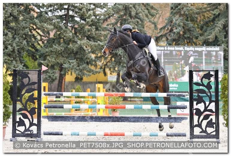 A kép az eredeti csökkentett reprezentációja