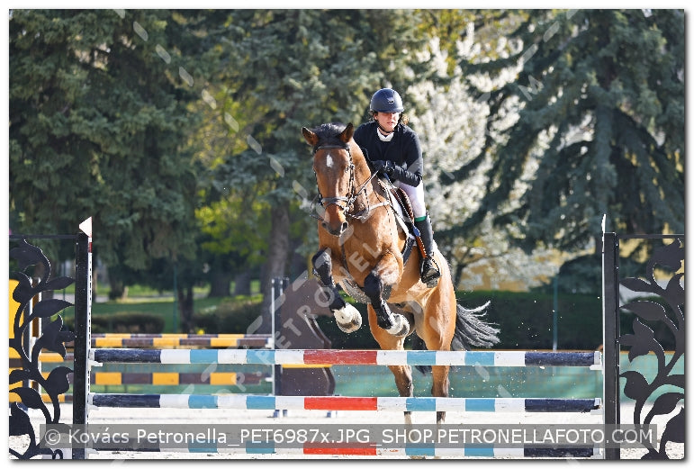 A kép az eredeti csökkentett reprezentációja