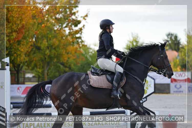 A kép az eredeti csökkentett reprezentációja